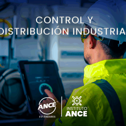 NMX-J-838-1-ANCE-2021