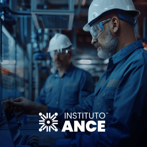 SEGURIDAD ELÉCTRICA - NOM-029-STPS-2011