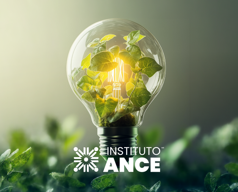 ISO 50001:2018 Sistemas de Gestión de la Energía - Interpretación de los Requisitos del Estándar